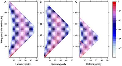 The Site Frequency/Dosage Spectrum of Autopolyploid Populations